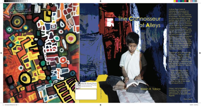 LONG COVER ConnoisseurofAlleys-Cover-Final